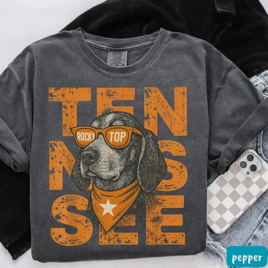 Tennessee Volunteers Game Day T-Shirt